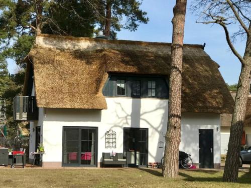 My little Zanzibar 2