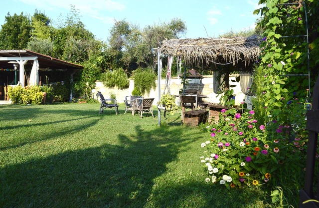 Naif Mimosa village