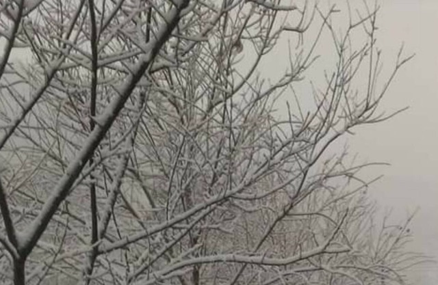 Nasun bed and breakfast