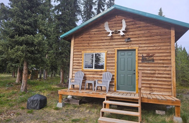 National Park Stay: Immerse yourself in Alaska's biggest park with modern comforts and no crowds. Family-friendly, pets OK!