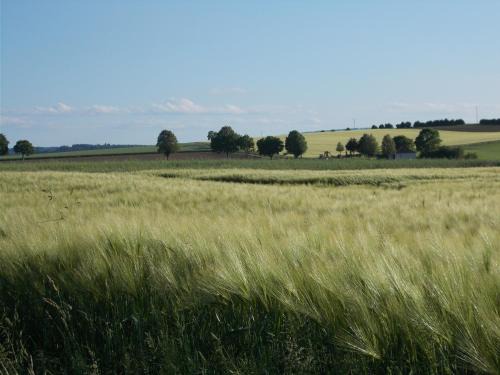 Natur und Ruhe - für Ruhe suchenden