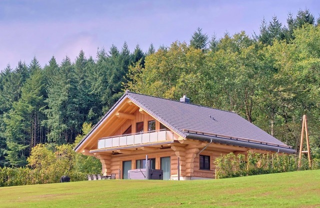 Natural log cabin chalet (new build 2025!) in the Hunsrück with lake and national park views