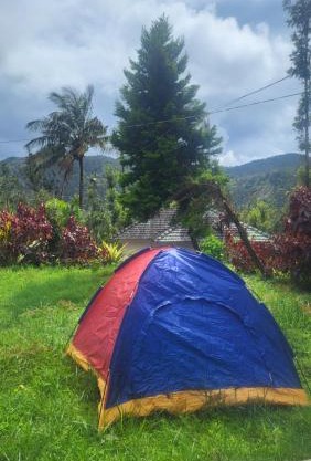 Nature kings Timber leaf Homestay