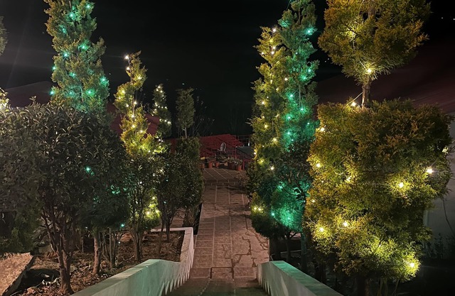 Nature Nest Eco Resort