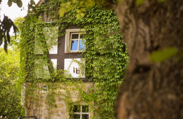 Nature vacation apartment Schöpstal Paterre