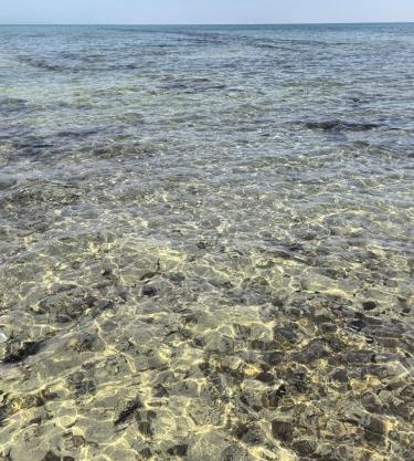 NatureLand Beach Villa