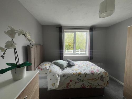 Near Saltaire, Bingley, Beautiful & Spacious, Entire 2-Bed House, Kitchen, Washer Dryer, Parking & Garden