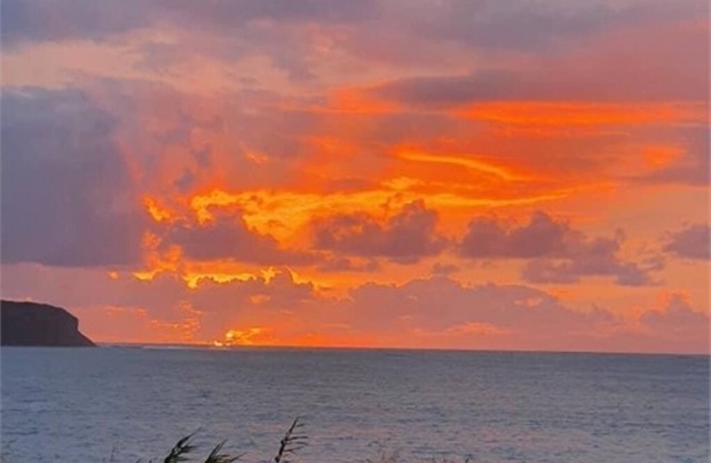 Nest 4 TwonOmapere/Opononi/Northland