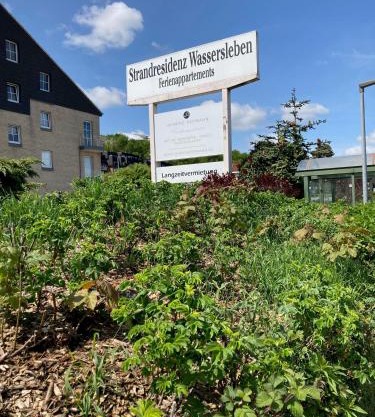 NEU 2023 - Fewo mit Meerblick & Flair