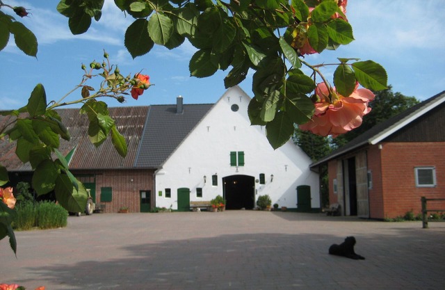 New apartment in the old farmhouse