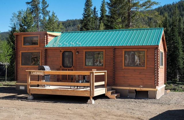 New Cabins in the Mountains, Walk to Lake, Pet Friendly, Closet to Lake Granby!