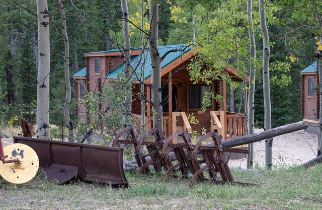 New Cabins in the Mountains, Walk to Lake, Pet Friendly, Closet to Lake Granby!