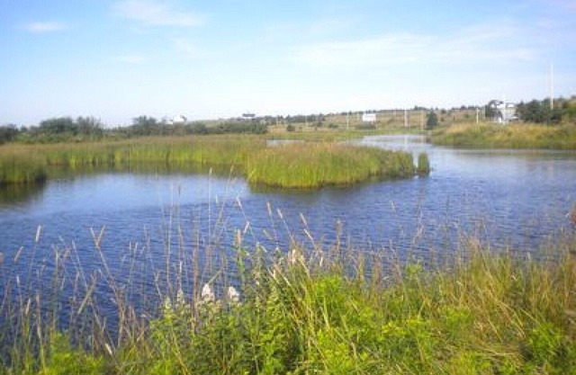 New Log Home with Gorgeous Ocean View in Historic Acadian Village
