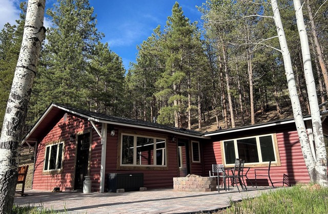 New! Mountain cabin escape - 1 hr from DIA! Gas firepit & Wifi
