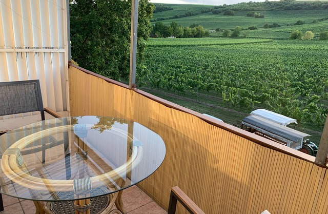 New: Oppenheim vacation apartment Martin