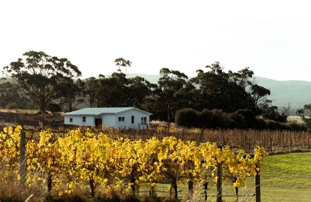 *New* Pip's Place at Lisdillon Vineyard