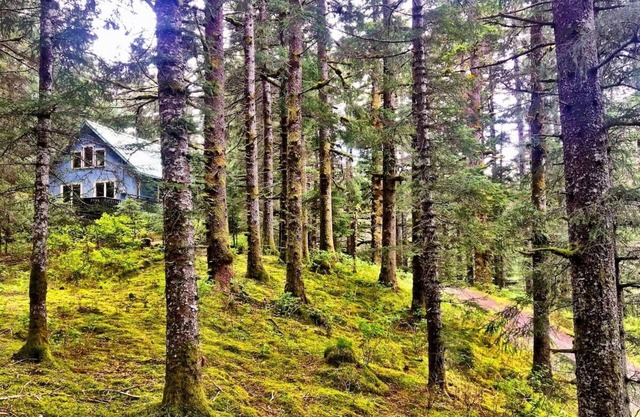 NEW Private wooded hideaway w/spacious deck & hot tub, steps to beach & fishing