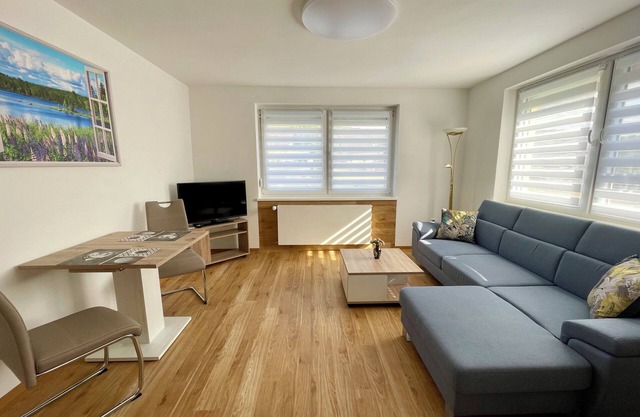 Newly renovated apartment with WLAN and kitchen