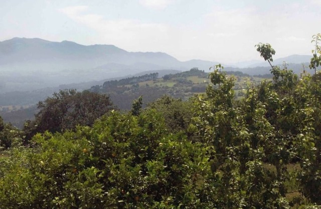 Newly Renovated Designer House 10 mins from Beach, Great location