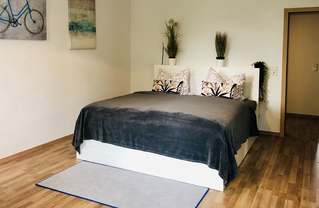 newly renovated in the Lutherviertel with 2 bedrooms