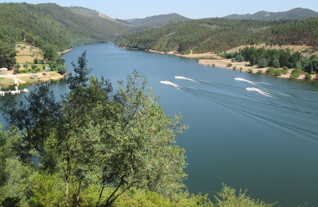 Next Castelo do Bode, Foz da Ribeira de Alge with Rio Zêzere, Pet