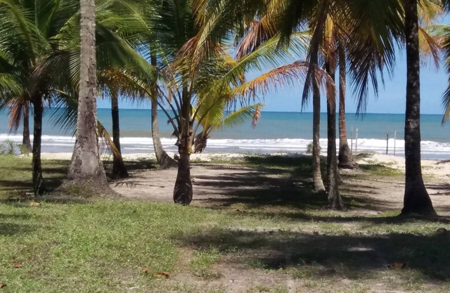 Next Sierra Grande , beaches, trihas p paradizíacas beaches, waterfall Tijuipe