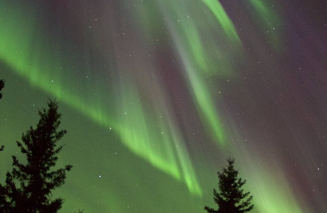 Next to Pioneer Park, Chena River, Carlson Center, and bus lines.