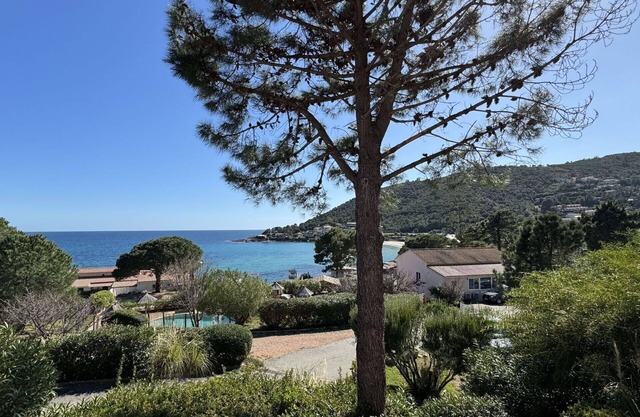 Nice apartment for 6 people with A/C, WIFI, pool, terrace, pets allowed and panoramic view