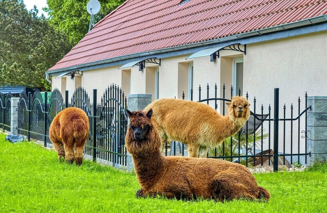 Nice apartment in Schmatzin with WiFi