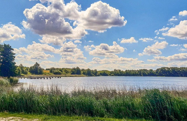 Nice home in Gützkow with WiFi