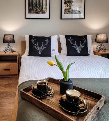 Noclegi Rezydent Polańczyk