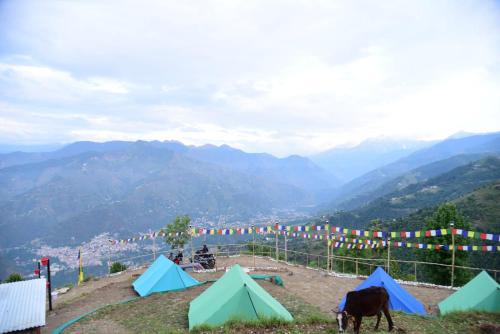 Nomadic Chamba By Eco Travellers