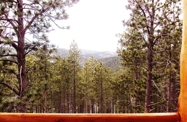 North Ridge Cabin-Panoramic views from the covered deck or the hot tub