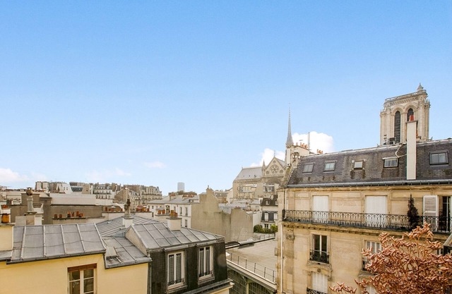 NOTRE-DAME PANORAMA in the very heart of Paris