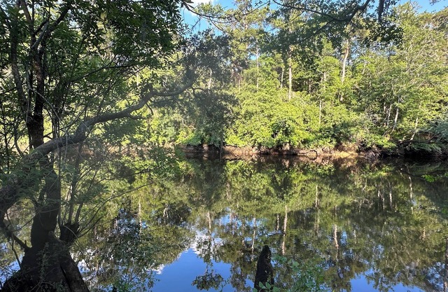 Oak Pine River House- Ohoopee River