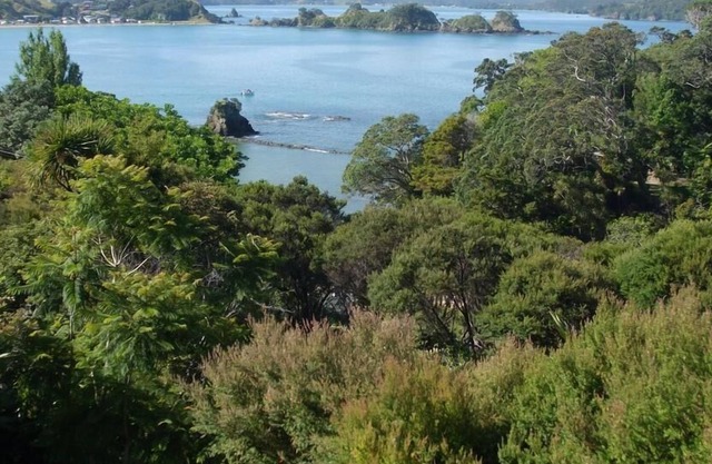 Oakura Bay view (La Belle Vue)