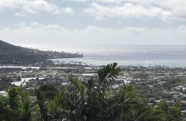 Ocean View Cottage with Separate Suite