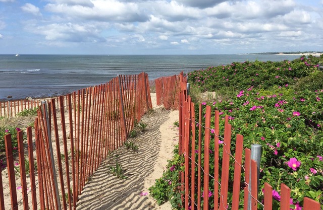 OCEANFRONT! Private beach, VIEWS, A/C, WIFI, Streaming TV, Walkable, Memories!