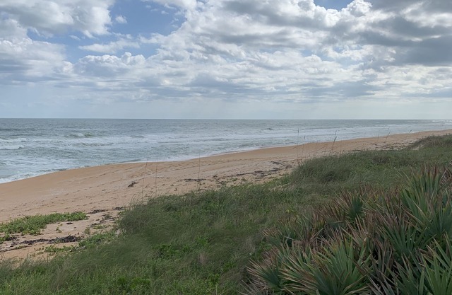 Oceanfront Vacation house in Ormond Beach