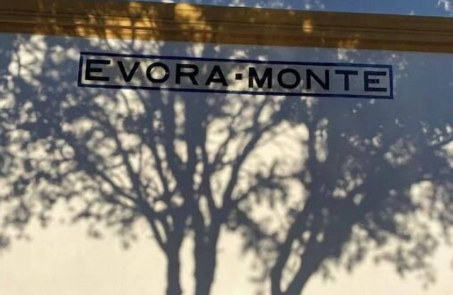 Old Railway Station in Evoramonte - House #5