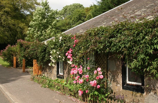 Old Toll Cottage -Delightful Cottage