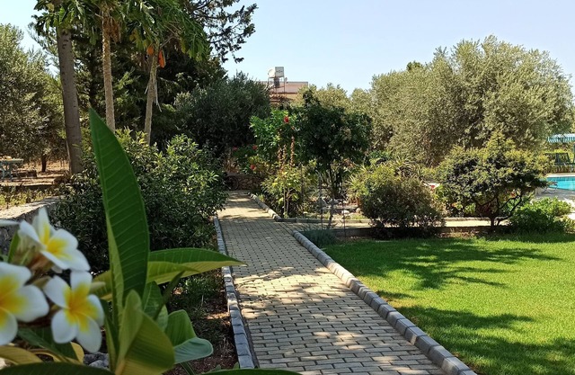 Olive Garden Holiday Homes