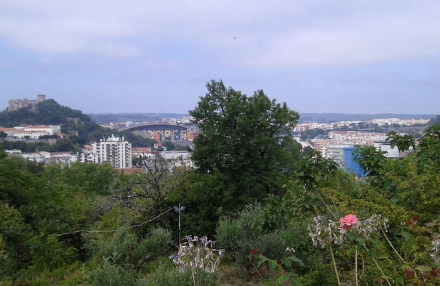 On a hill in the middle of nature overlooking Leiria castle near city center.