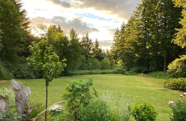 One Bedroom Apartment at Top of the Hill