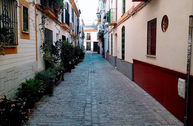 Orange blossom Seville