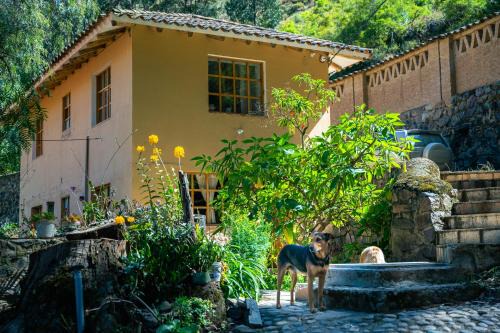 ORCCOCOCHA Apart Lodge-Fundo