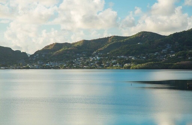 Orchid Oasis - AC, Pool, Ocean Views