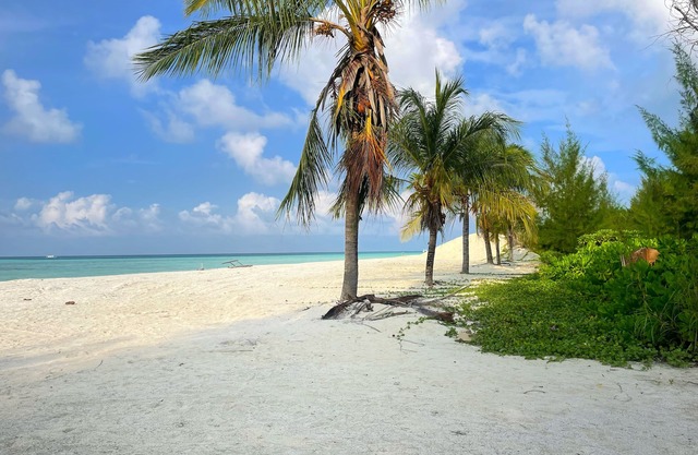 Oren Hotel Maldives