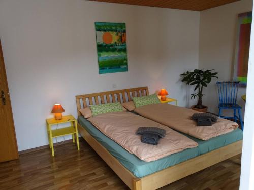 Organic BnB Froschknig Dorfplatz