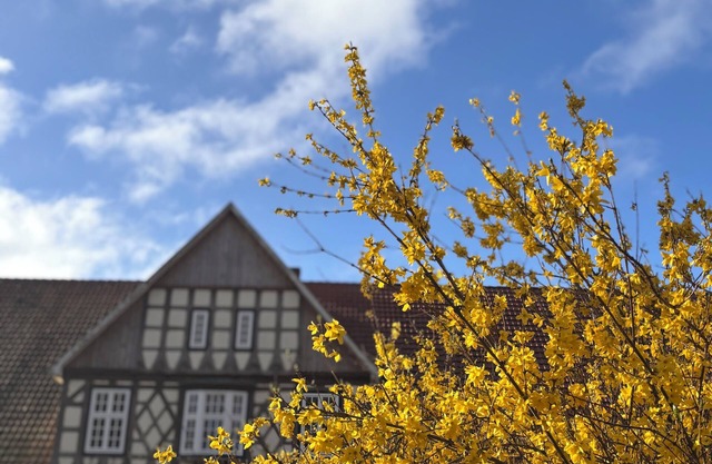 Our Erlenhof - guest area in beautiful Artland